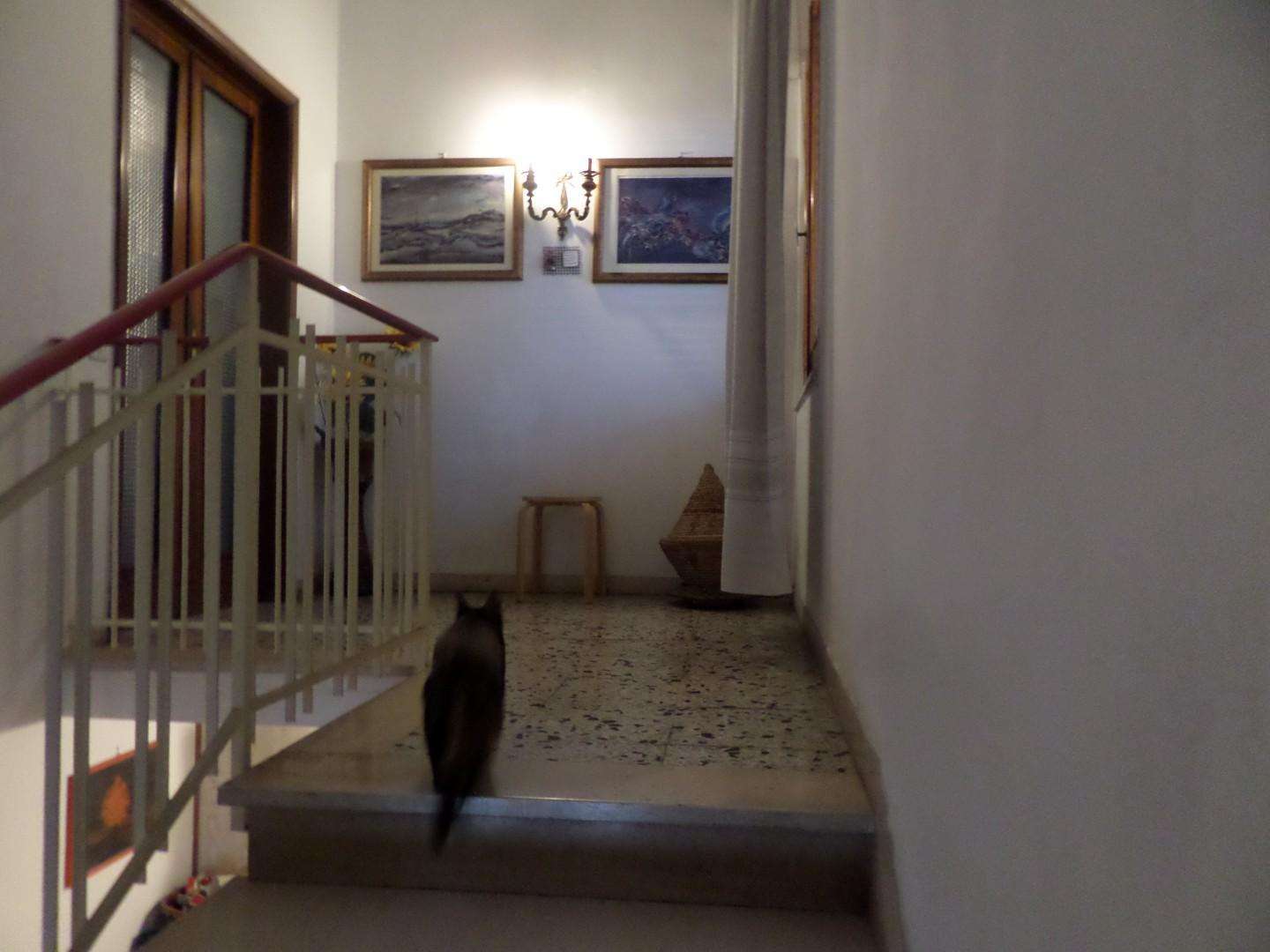  - foto 39