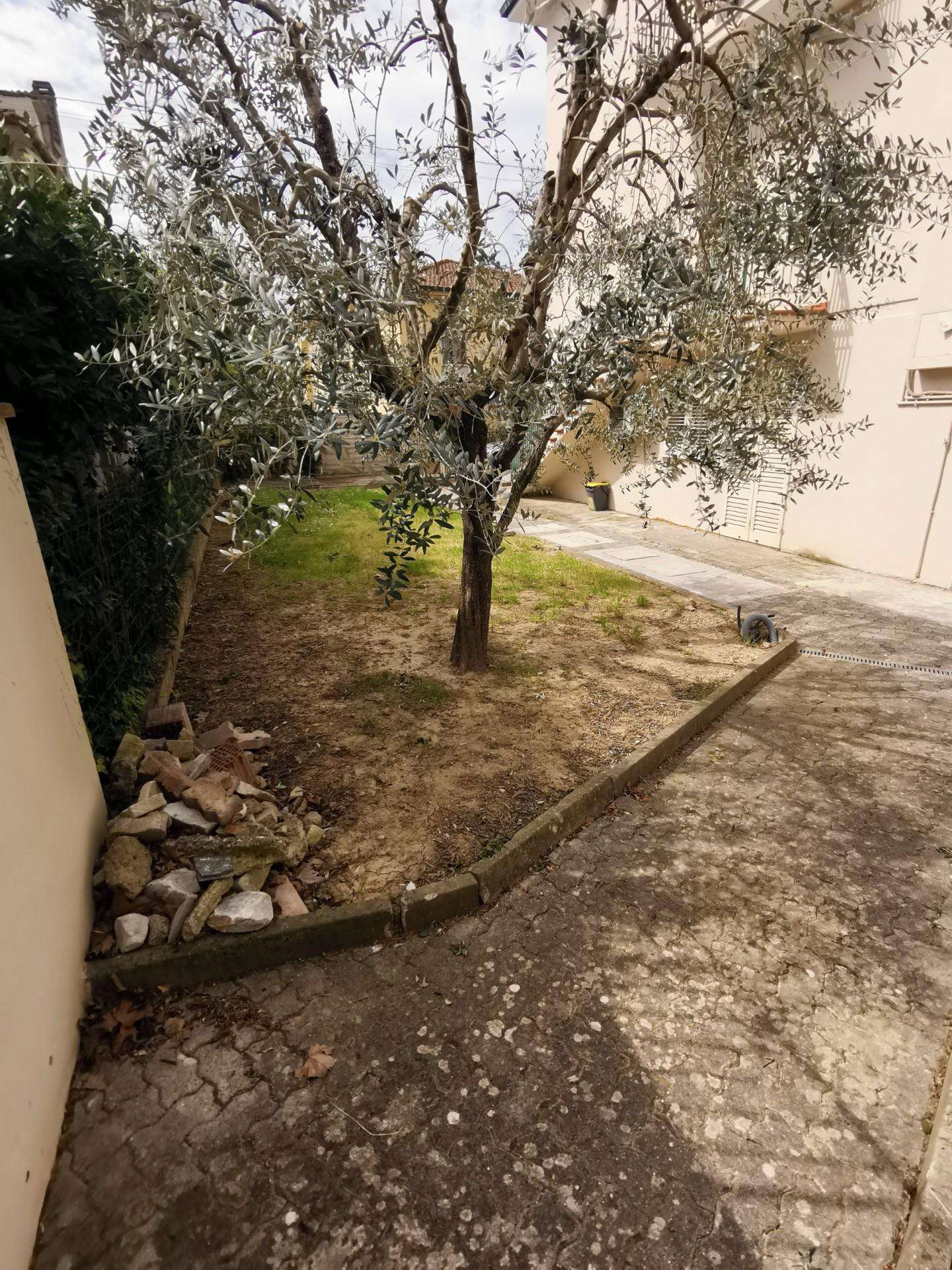  - foto 31