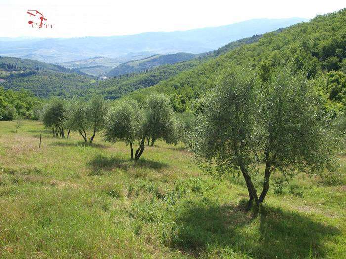  - foto 35