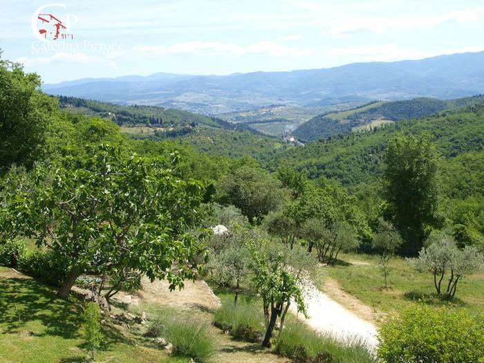  - foto 39