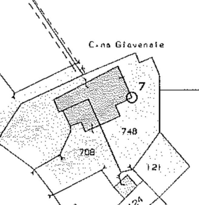  - foto 39