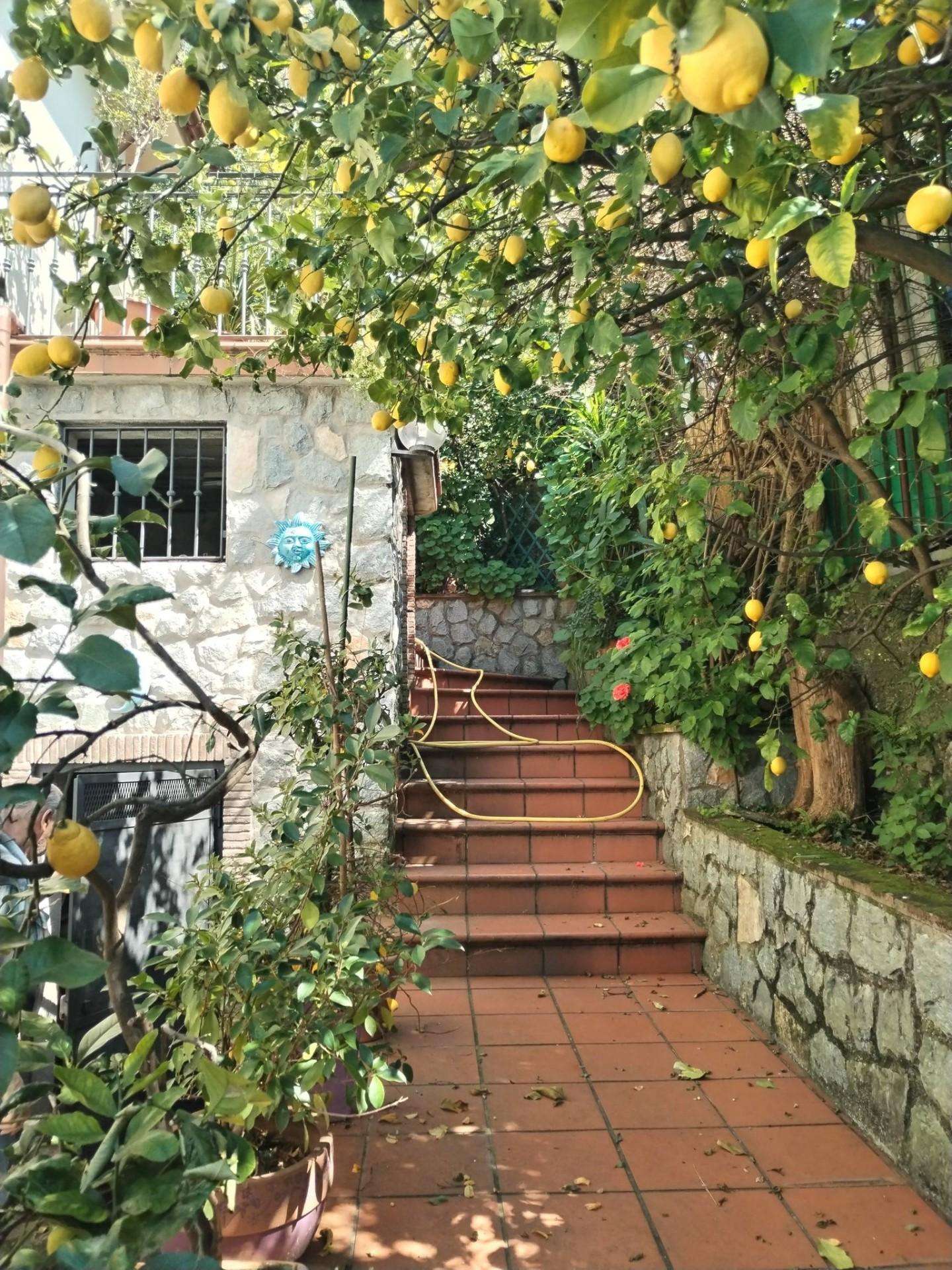  - foto 3