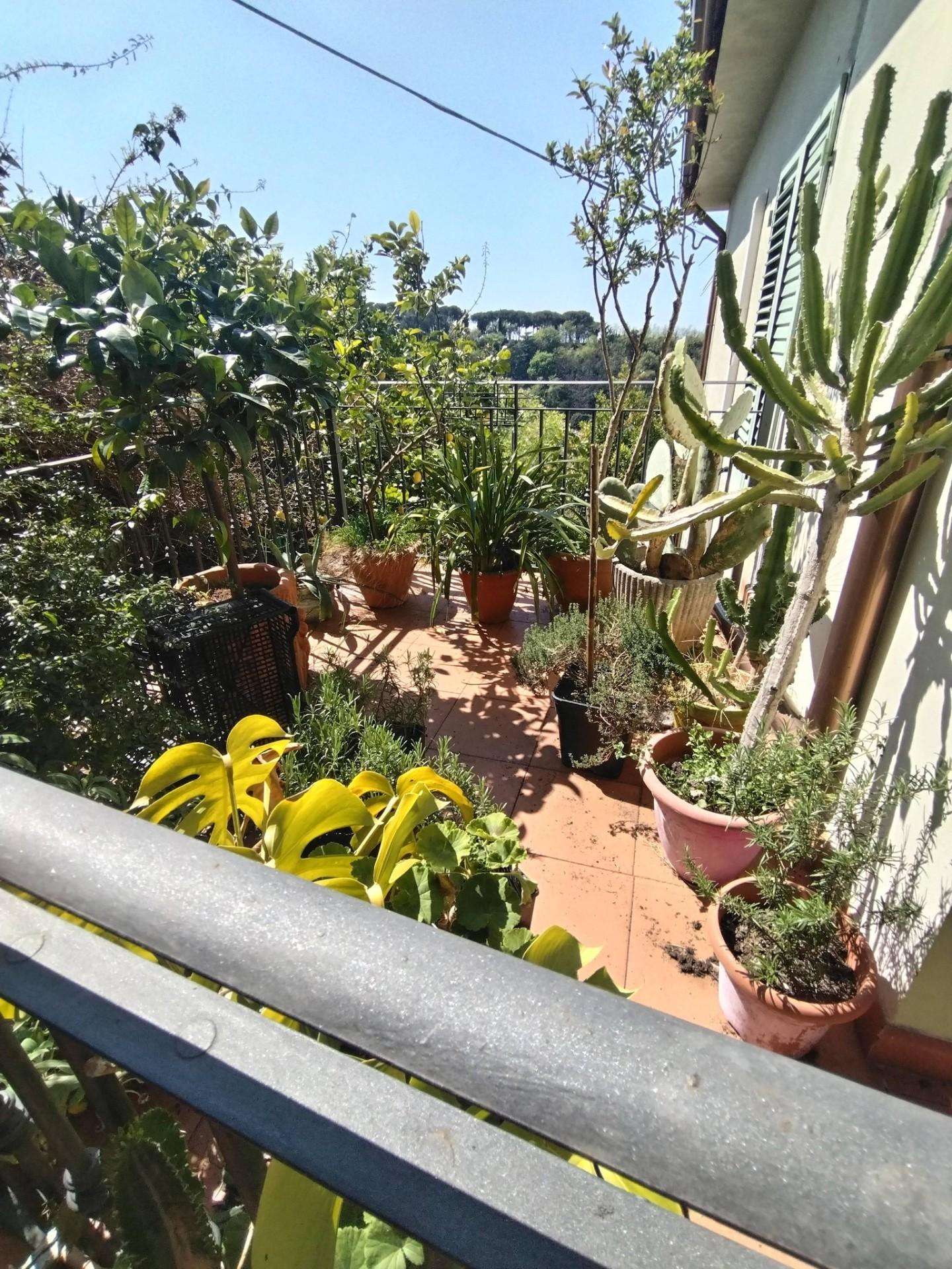  - foto 5