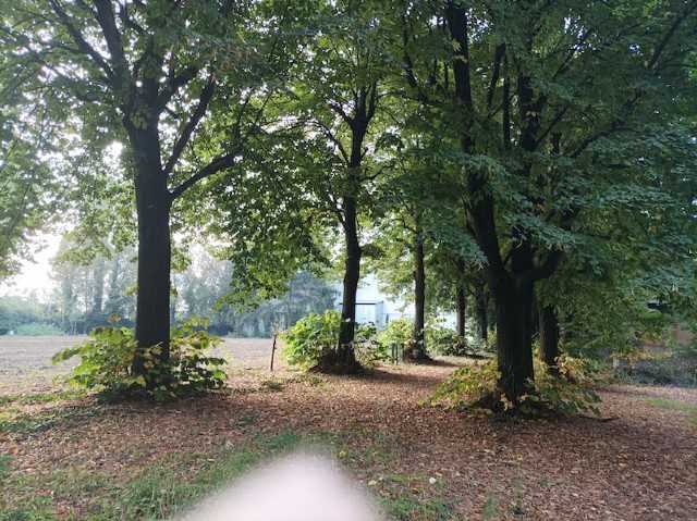  - foto 4