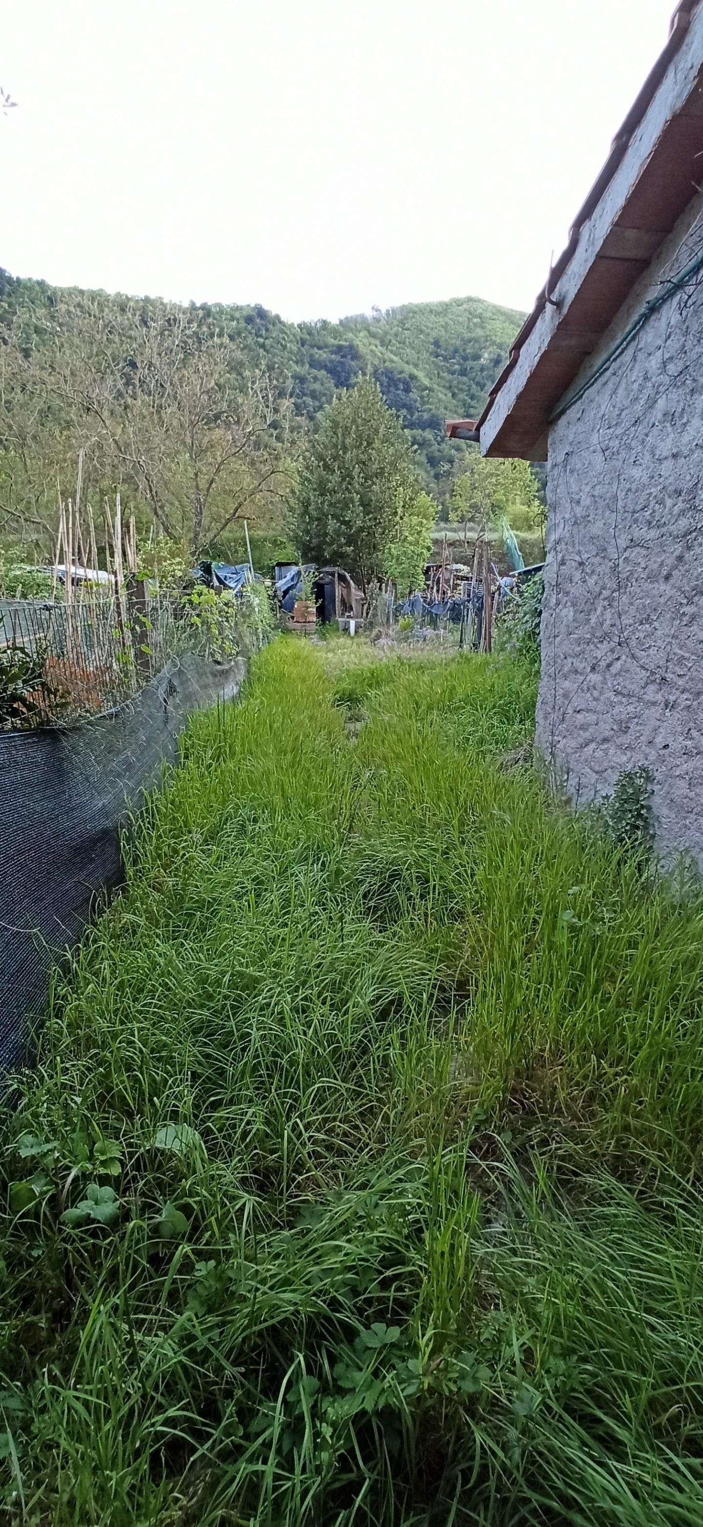  - foto 25