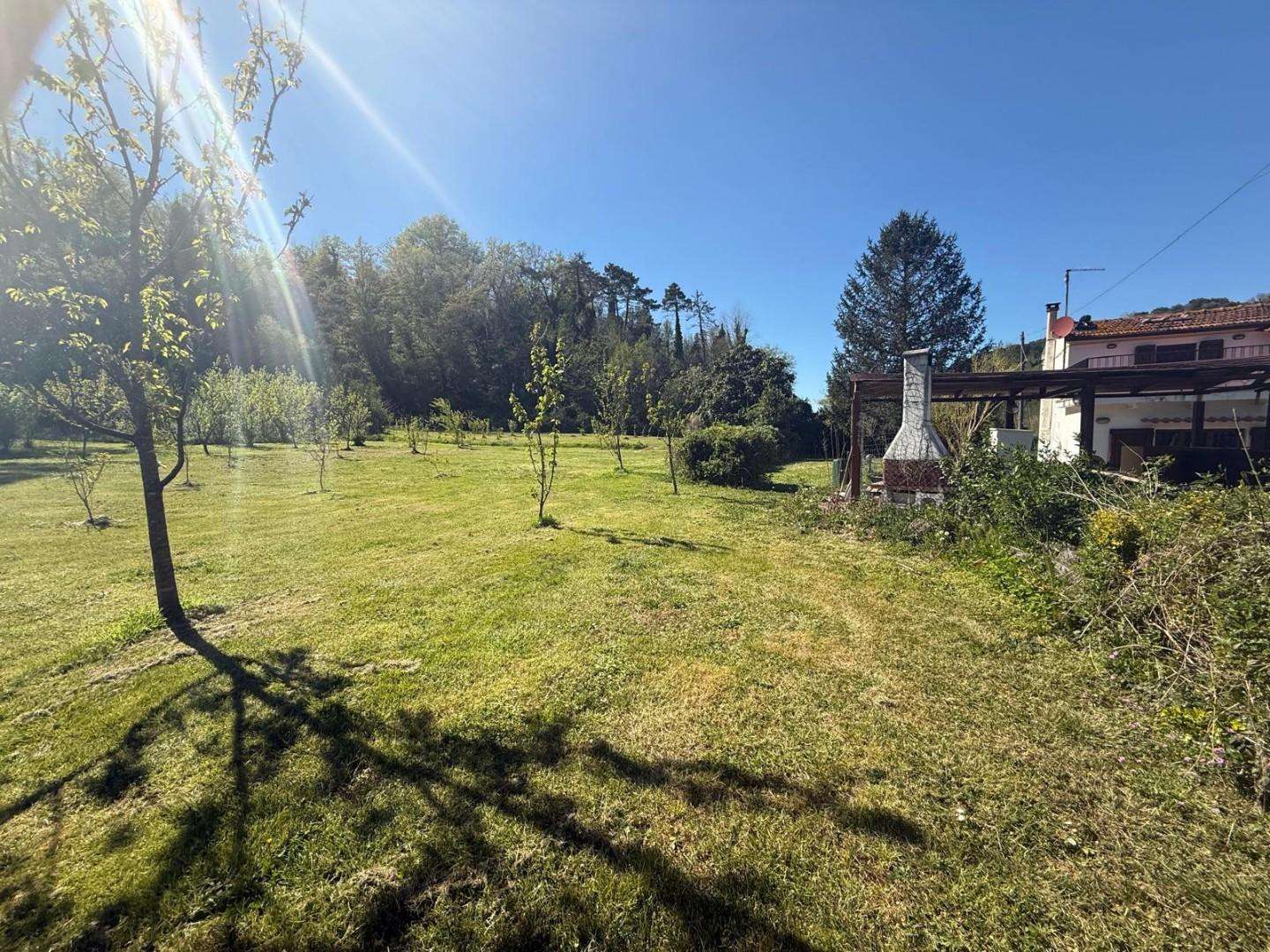  - foto 38