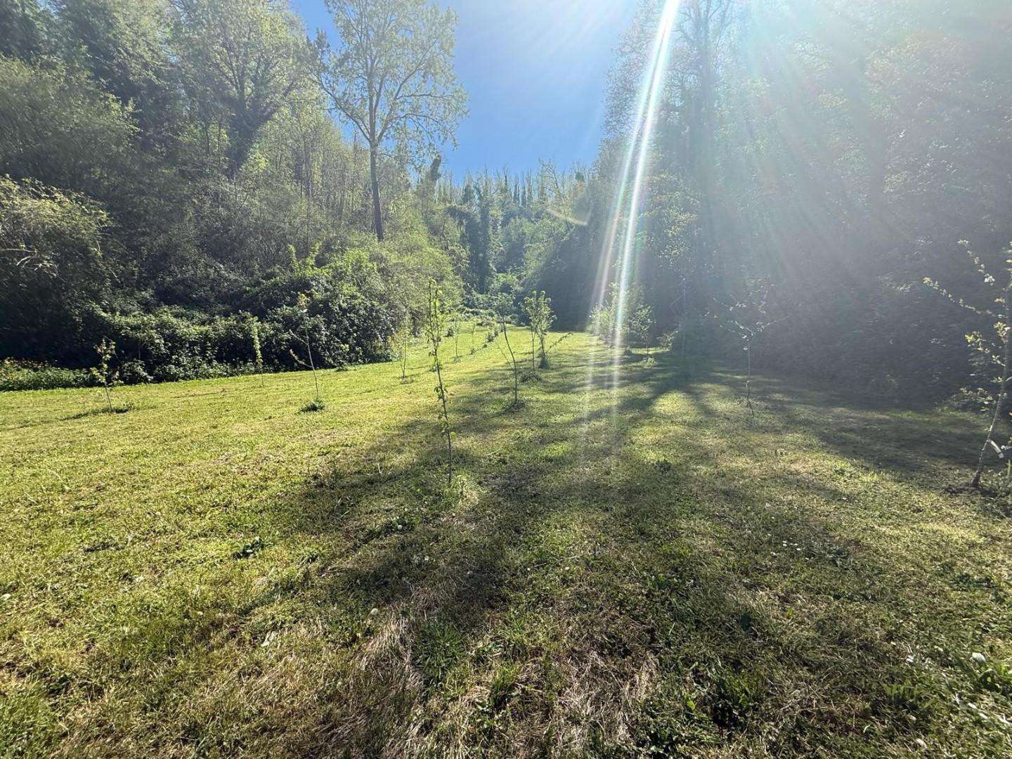  - foto 47