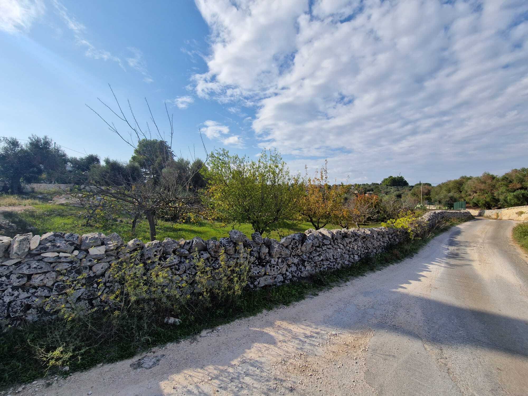  - foto 16