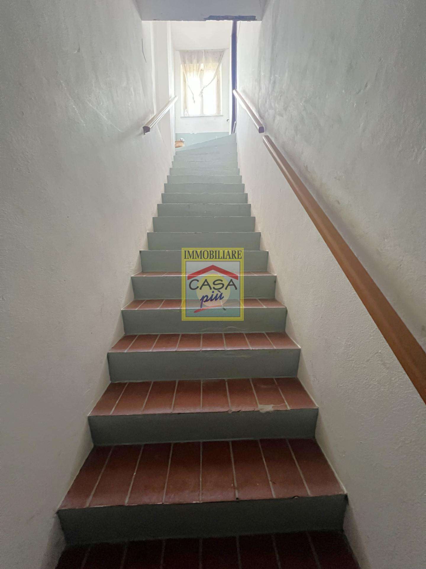  - foto 17