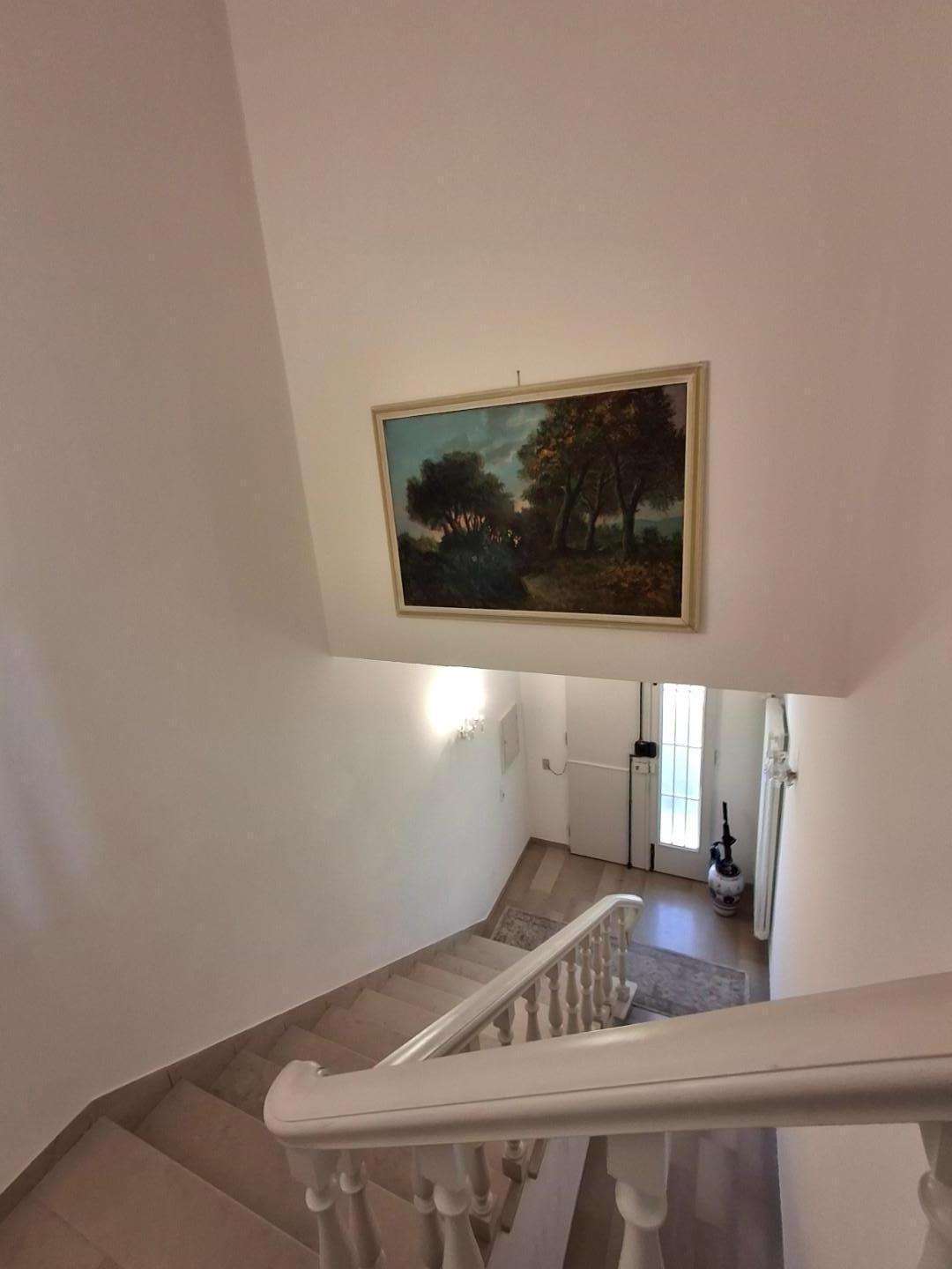  - foto 24