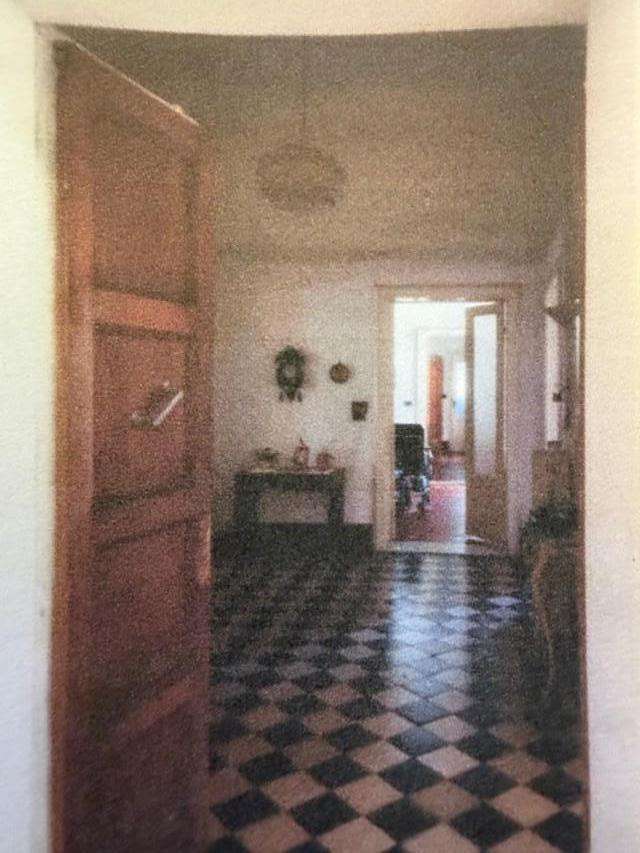  - foto 4