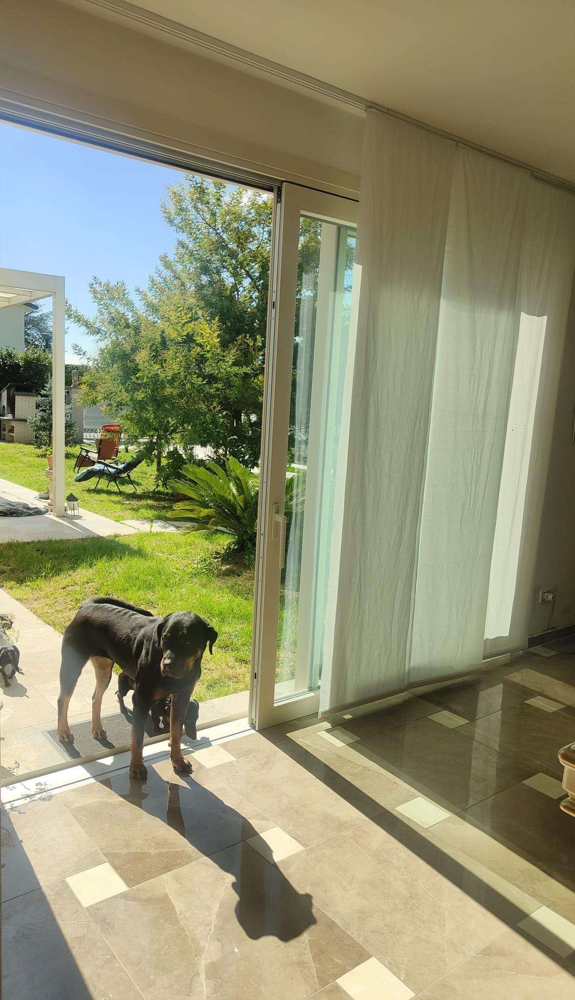  - foto 39