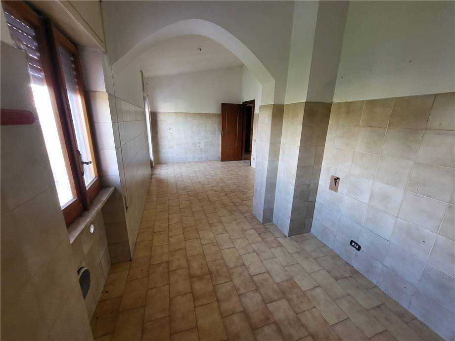  - foto 7