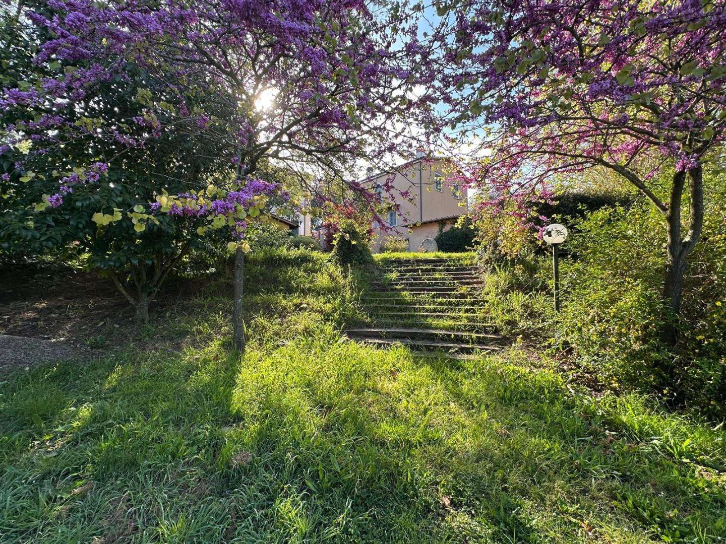  - foto 41