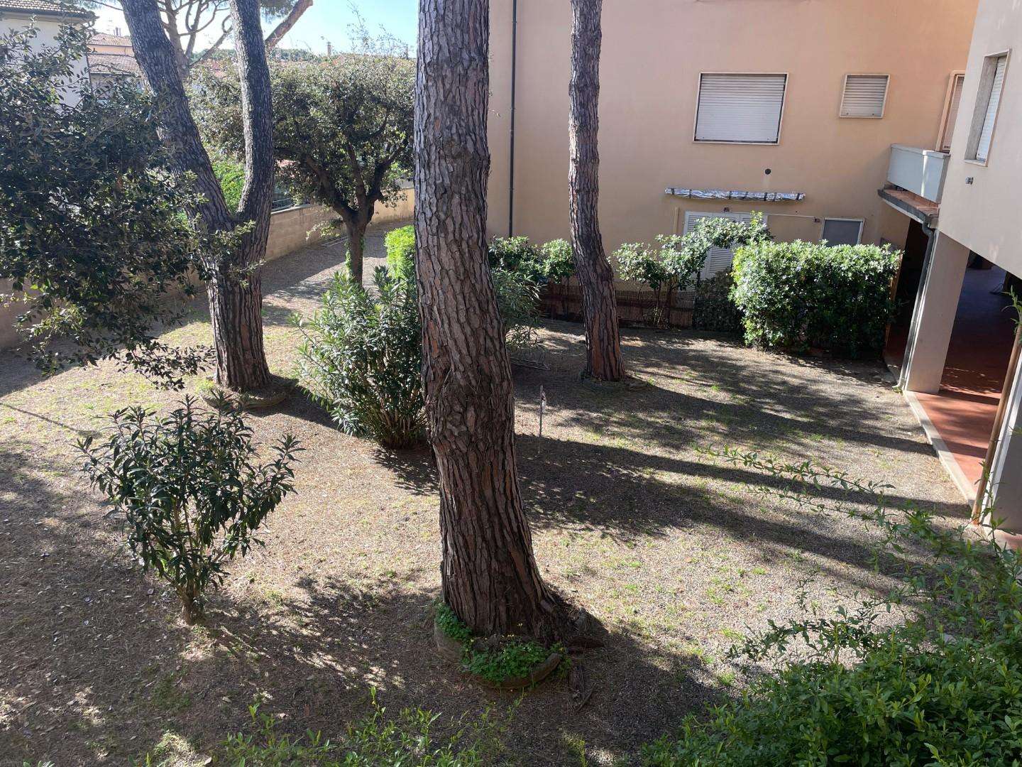  - foto 14