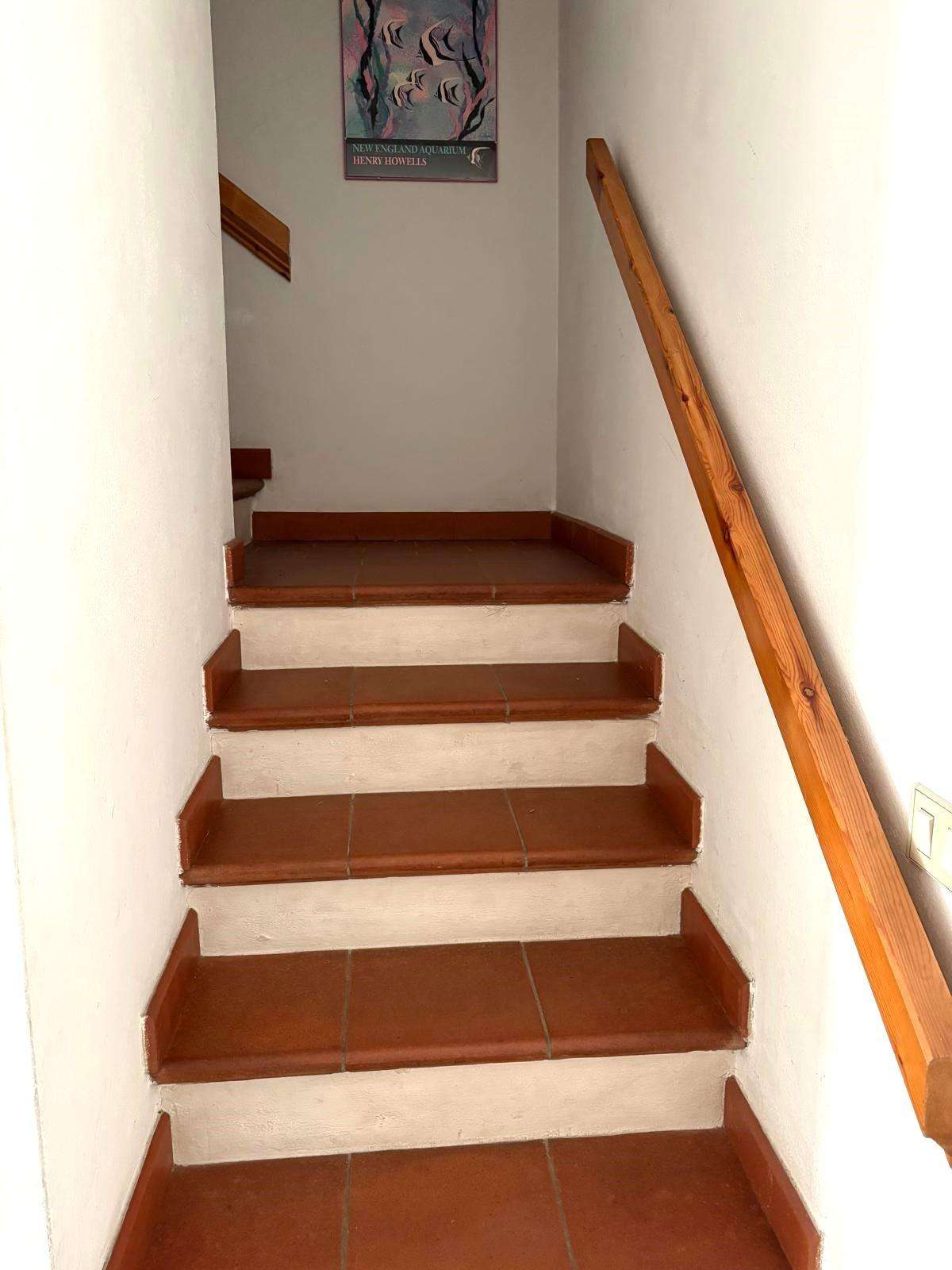  - foto 11