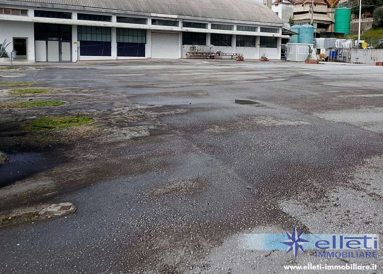  - foto 13