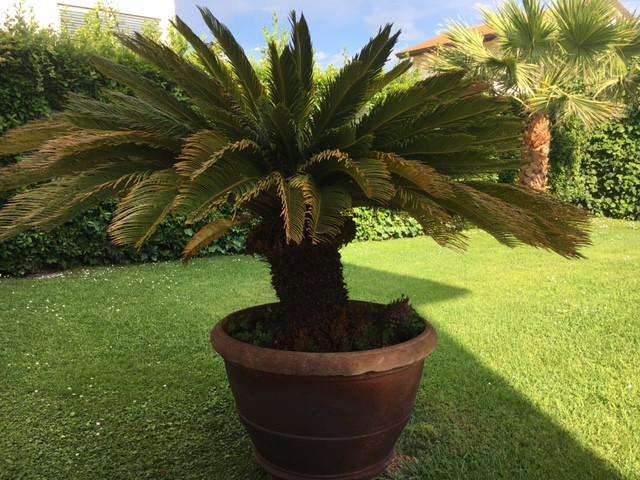  - foto 39
