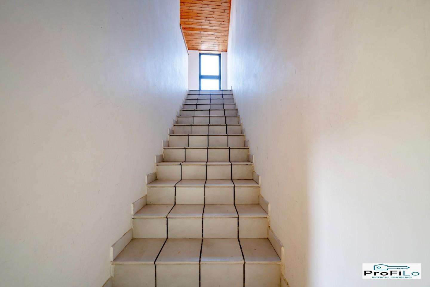  - foto 11