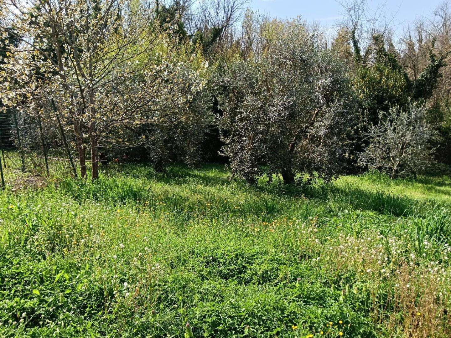  - foto 2