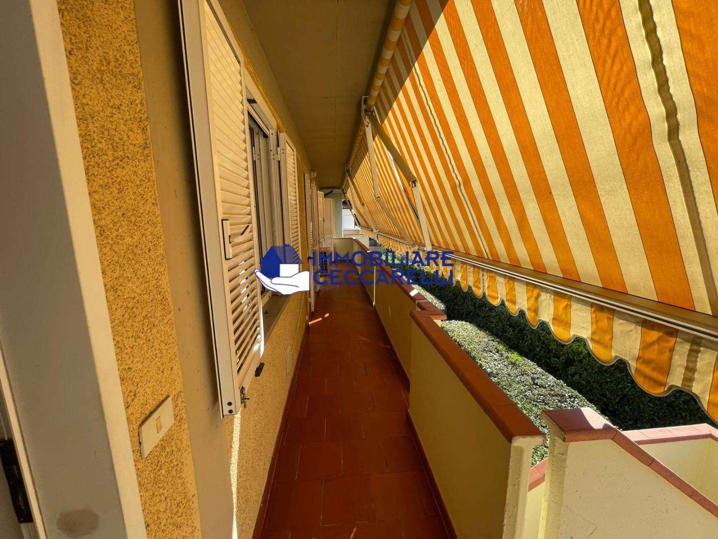  - foto 29