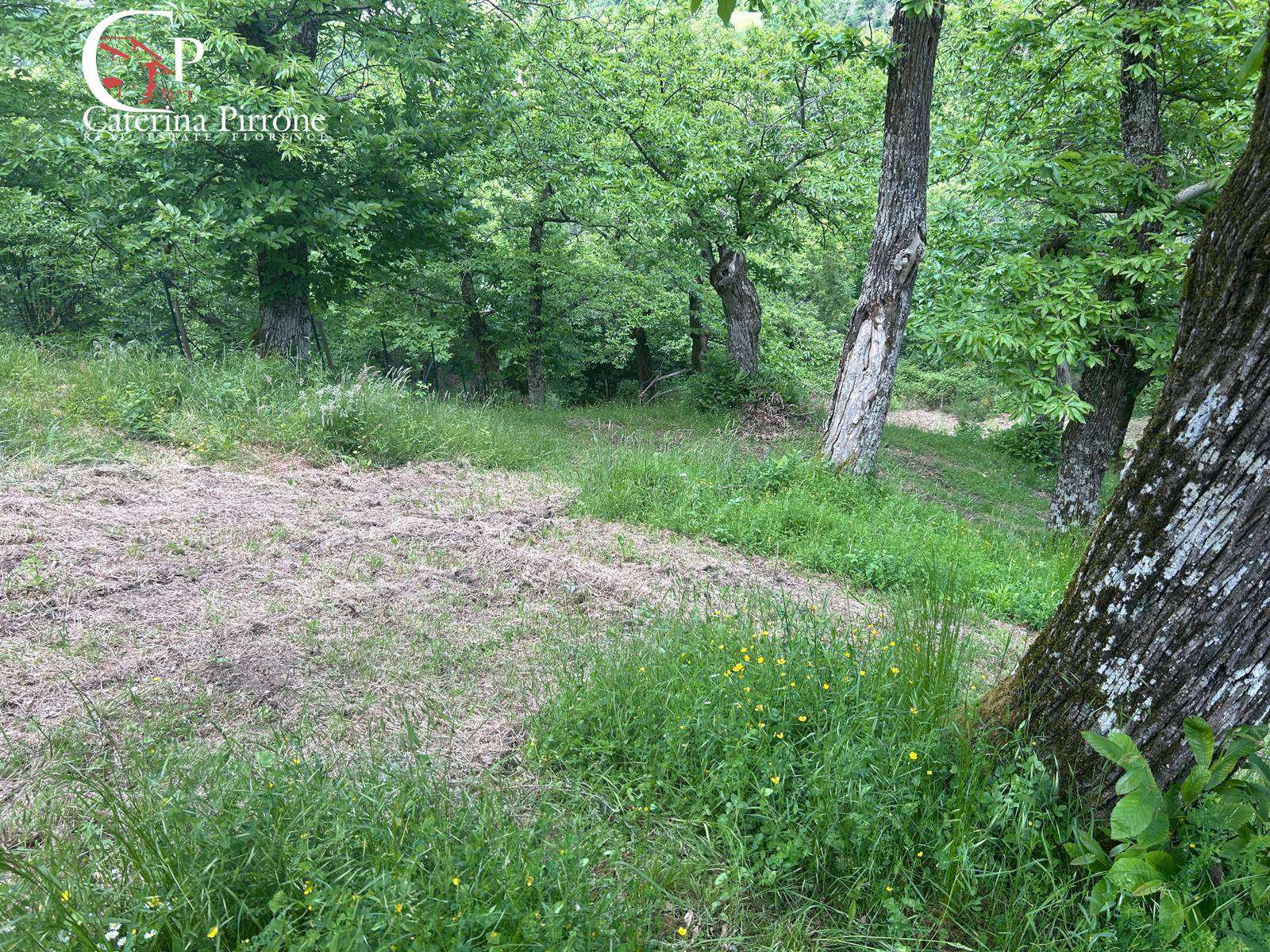  - foto 10