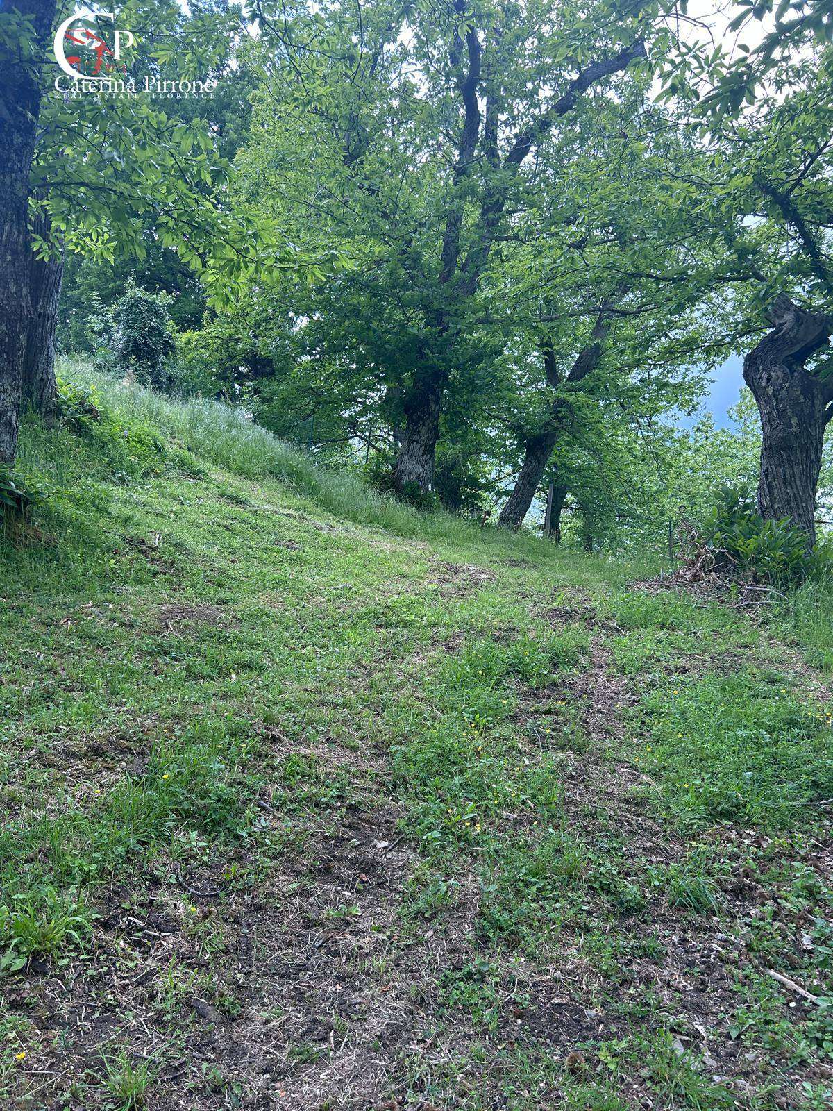  - foto 11