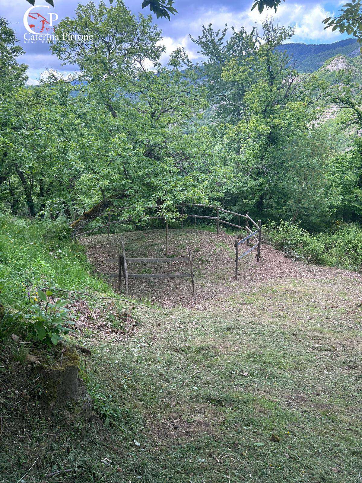  - foto 12