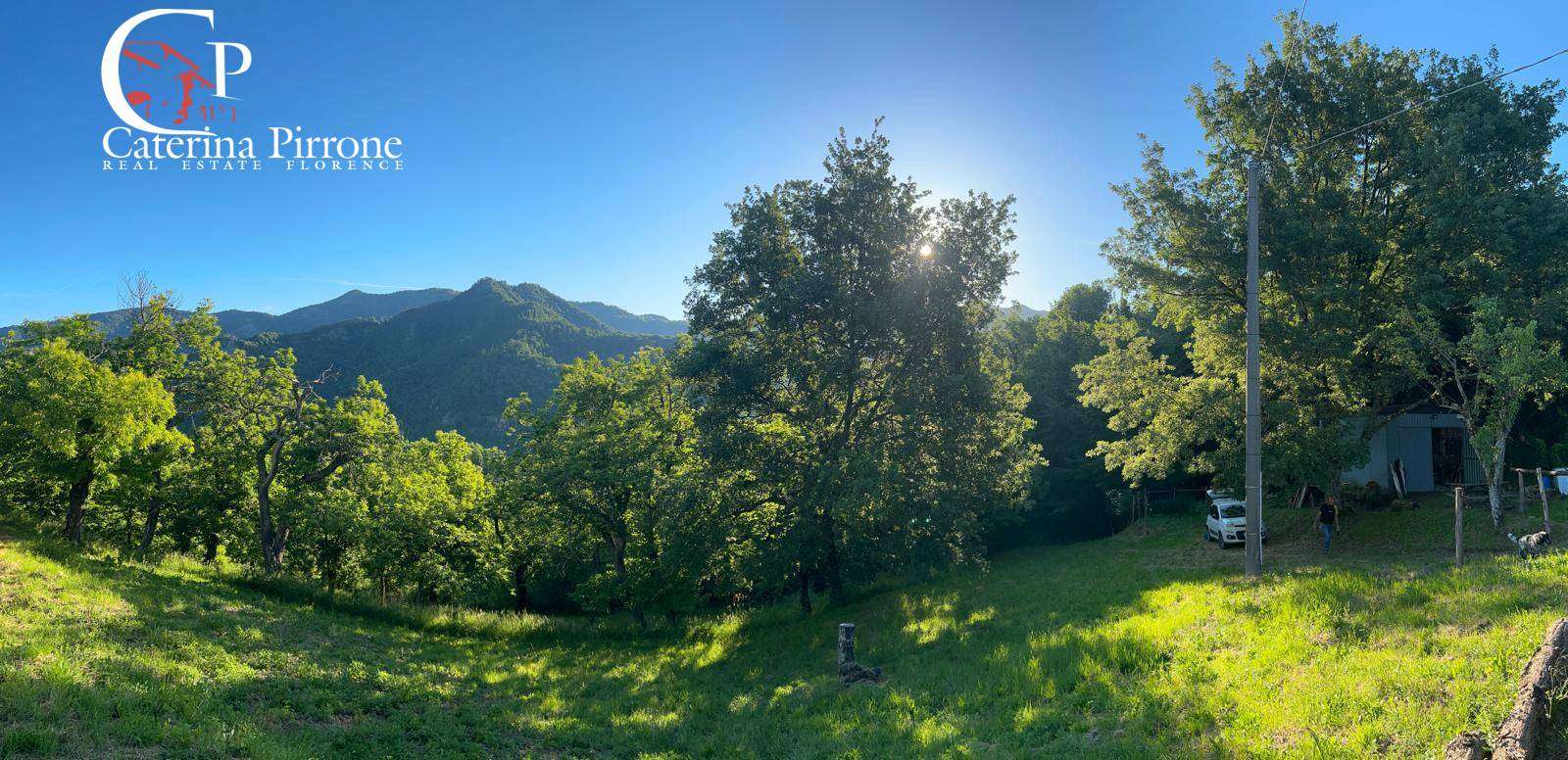  - foto 14