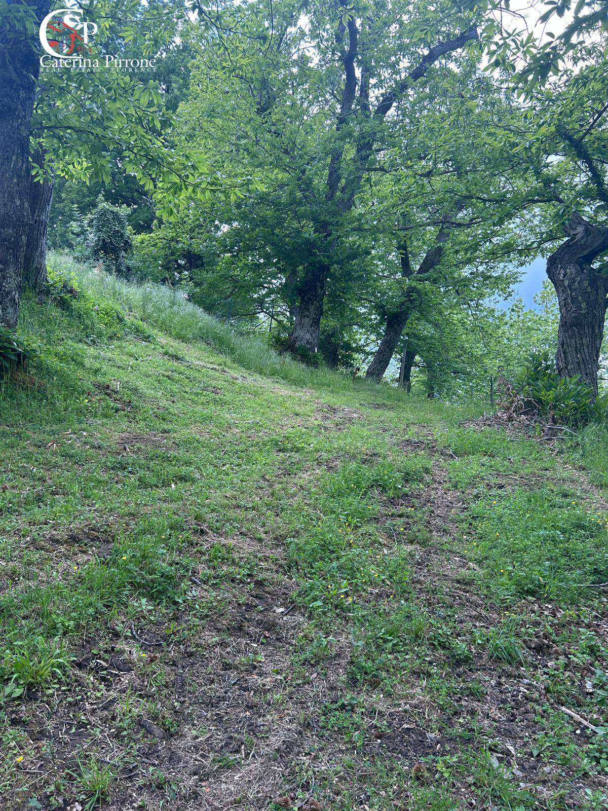  - foto 15