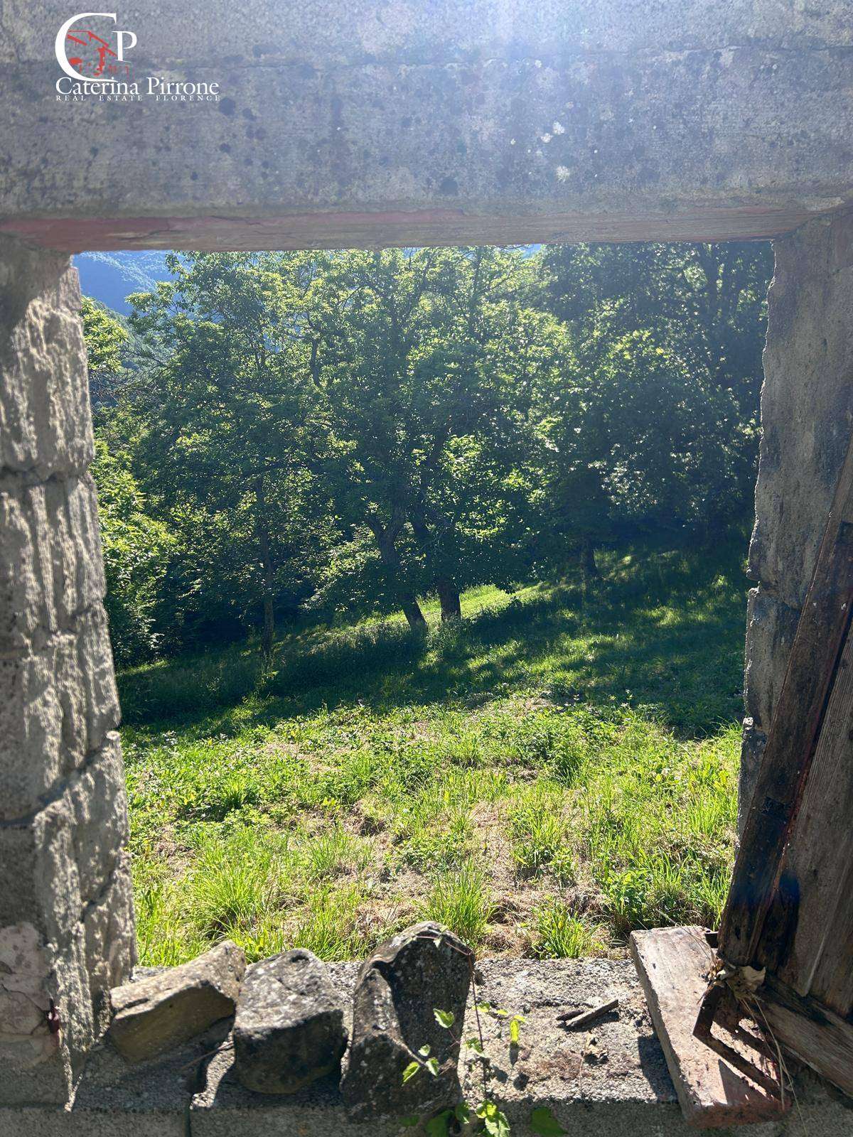  - foto 5