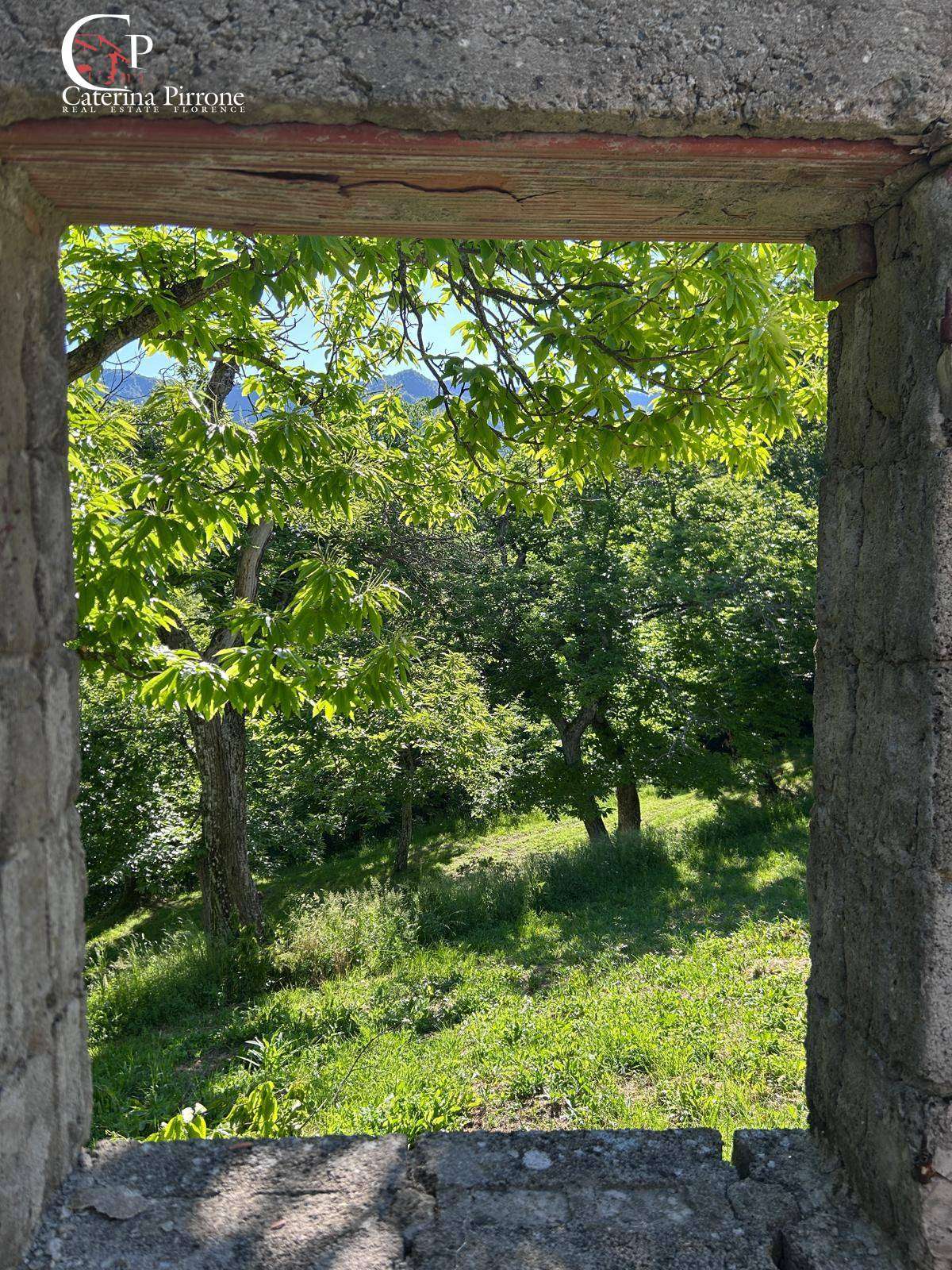  - foto 6
