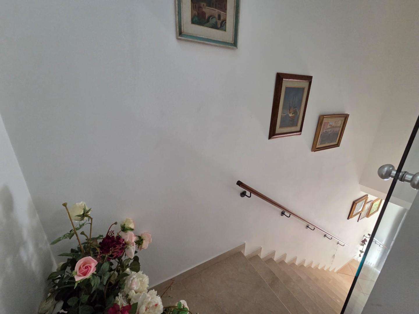  - foto 13