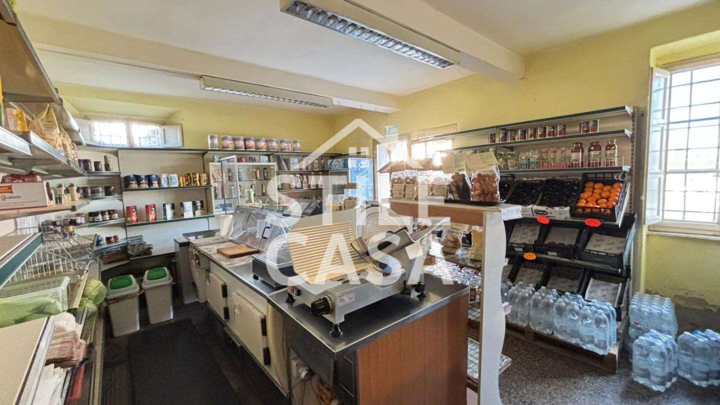 - foto 67