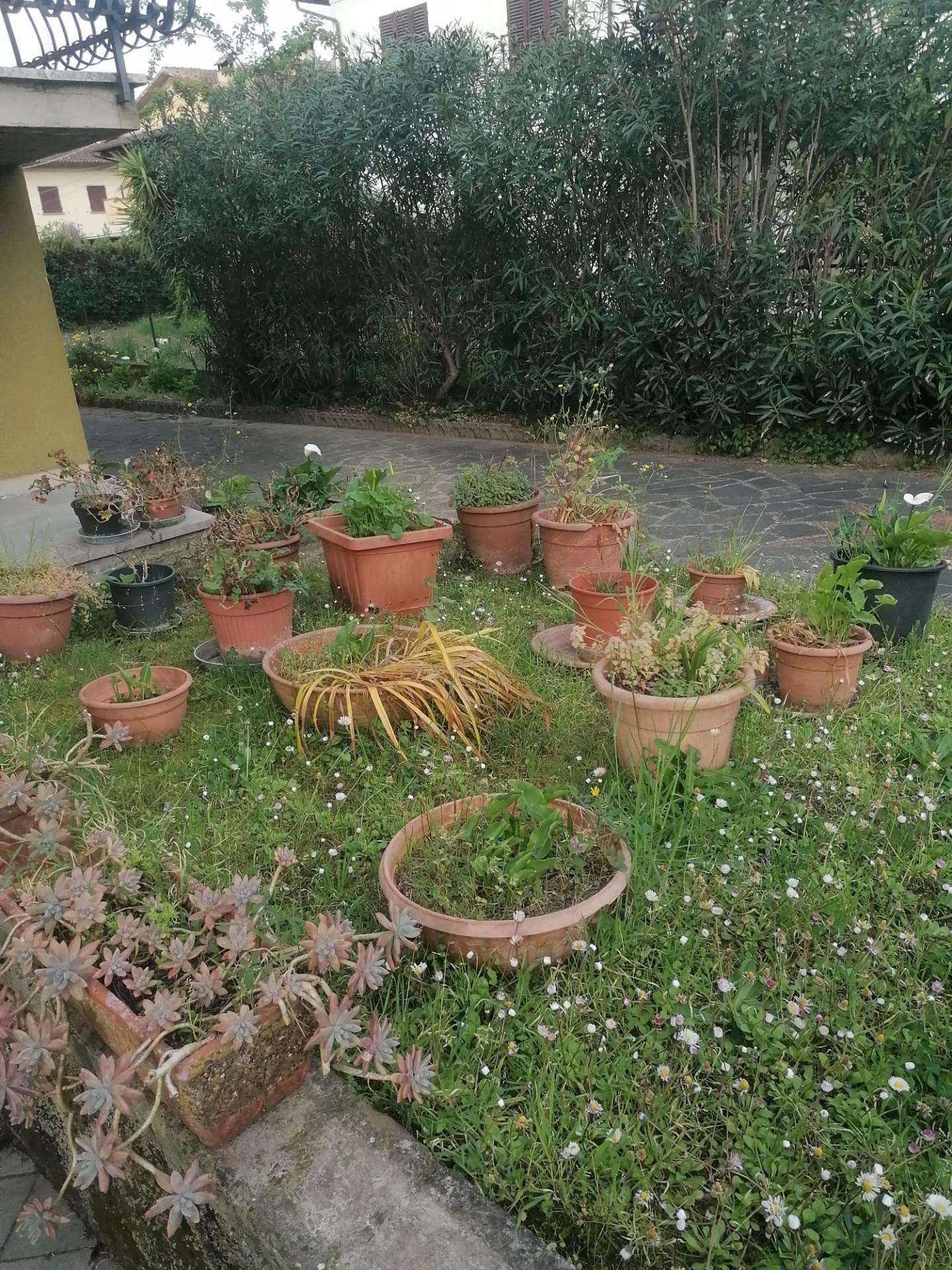  - foto 22