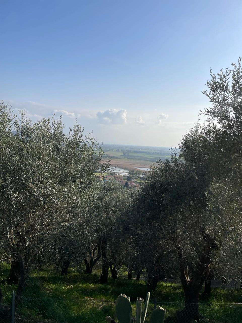  - foto 10