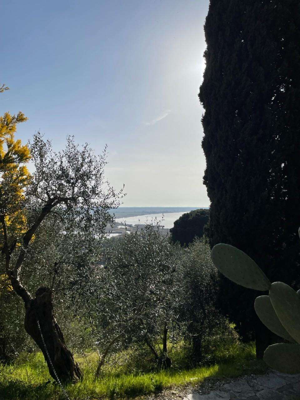  - foto 16
