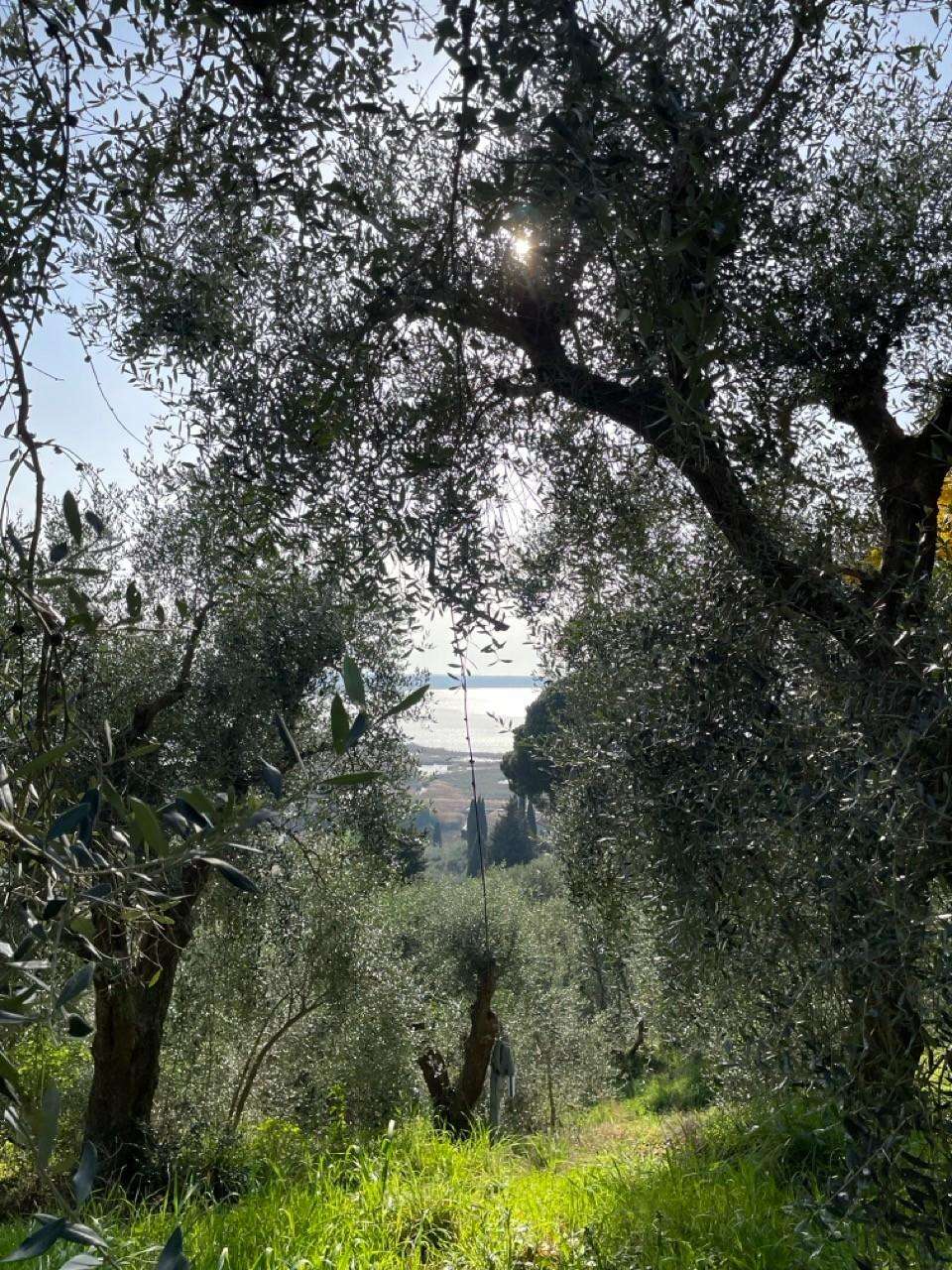  - foto 17