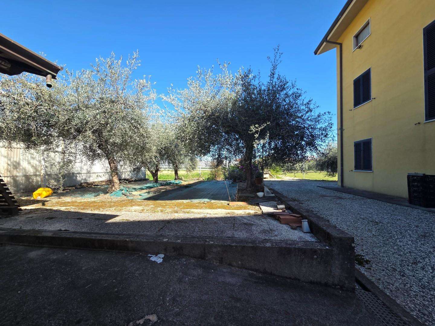  - foto 38