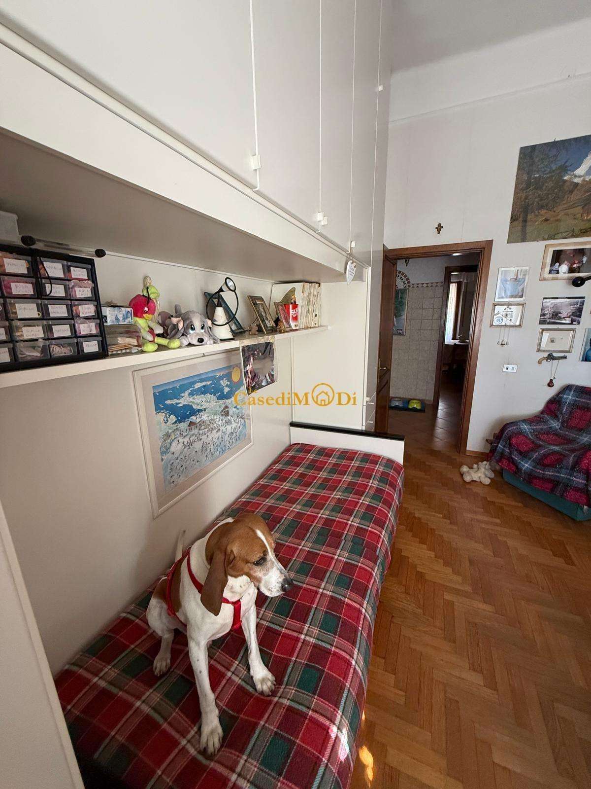  - foto 22