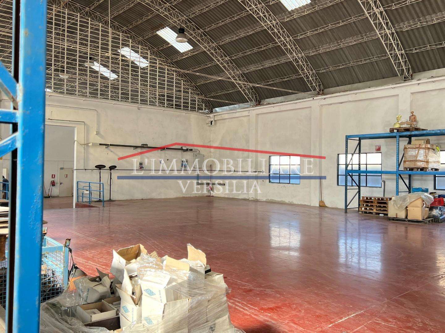  - foto 11