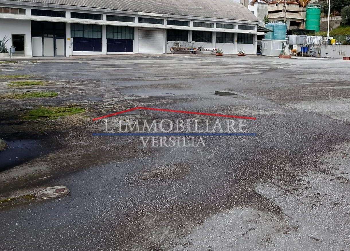  - foto 13