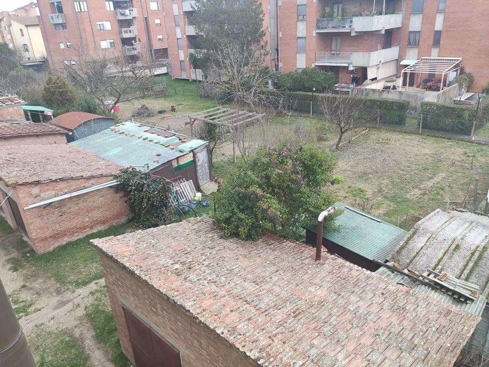  - foto 19