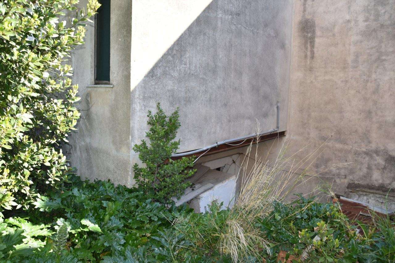  - foto 21