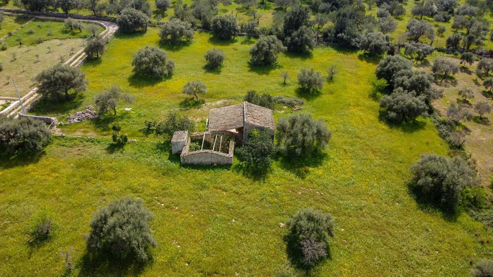  - foto 2