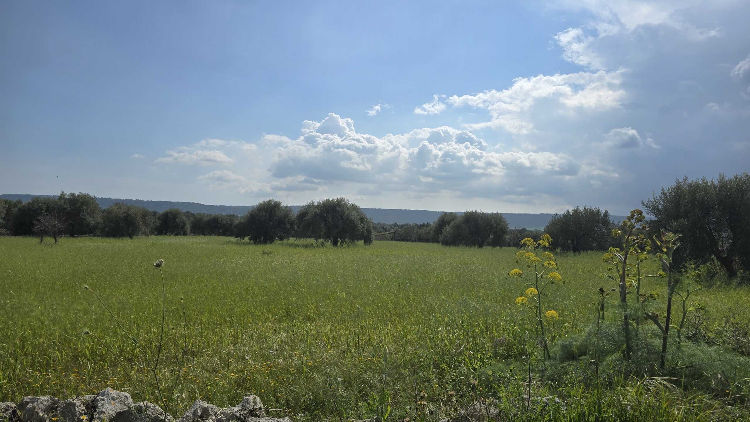  - foto 22