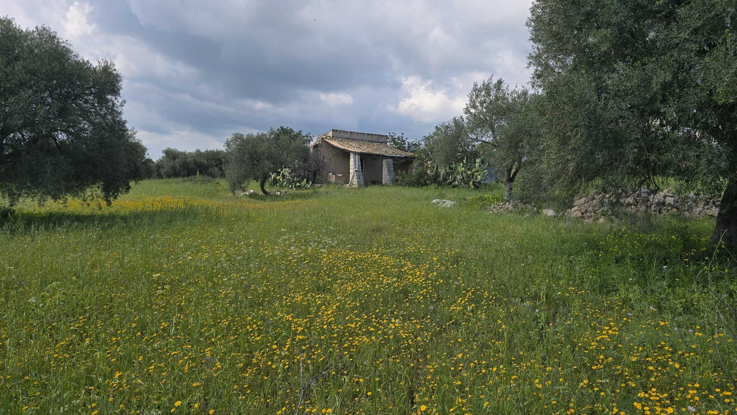  - foto 24