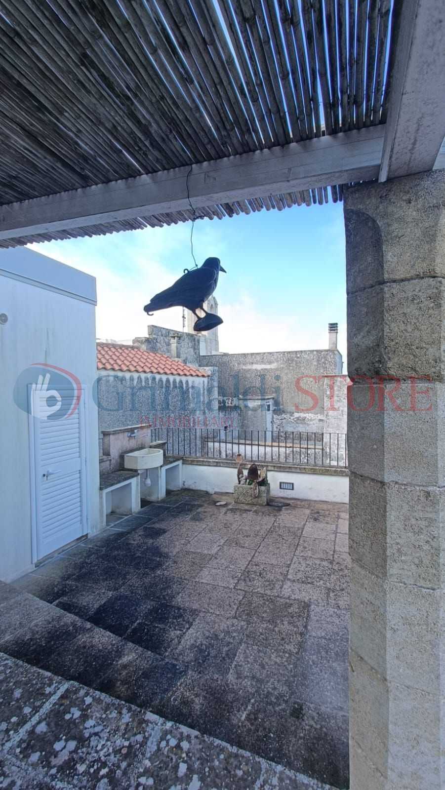  - foto 33