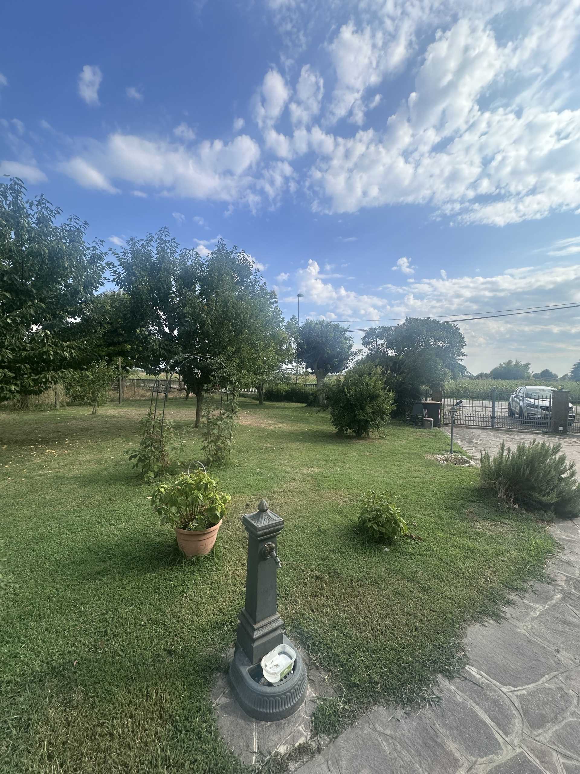  - foto 2