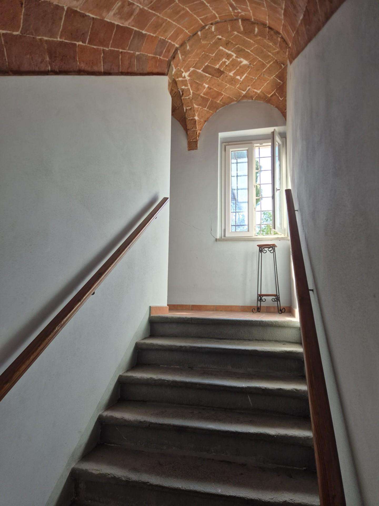  - foto 13